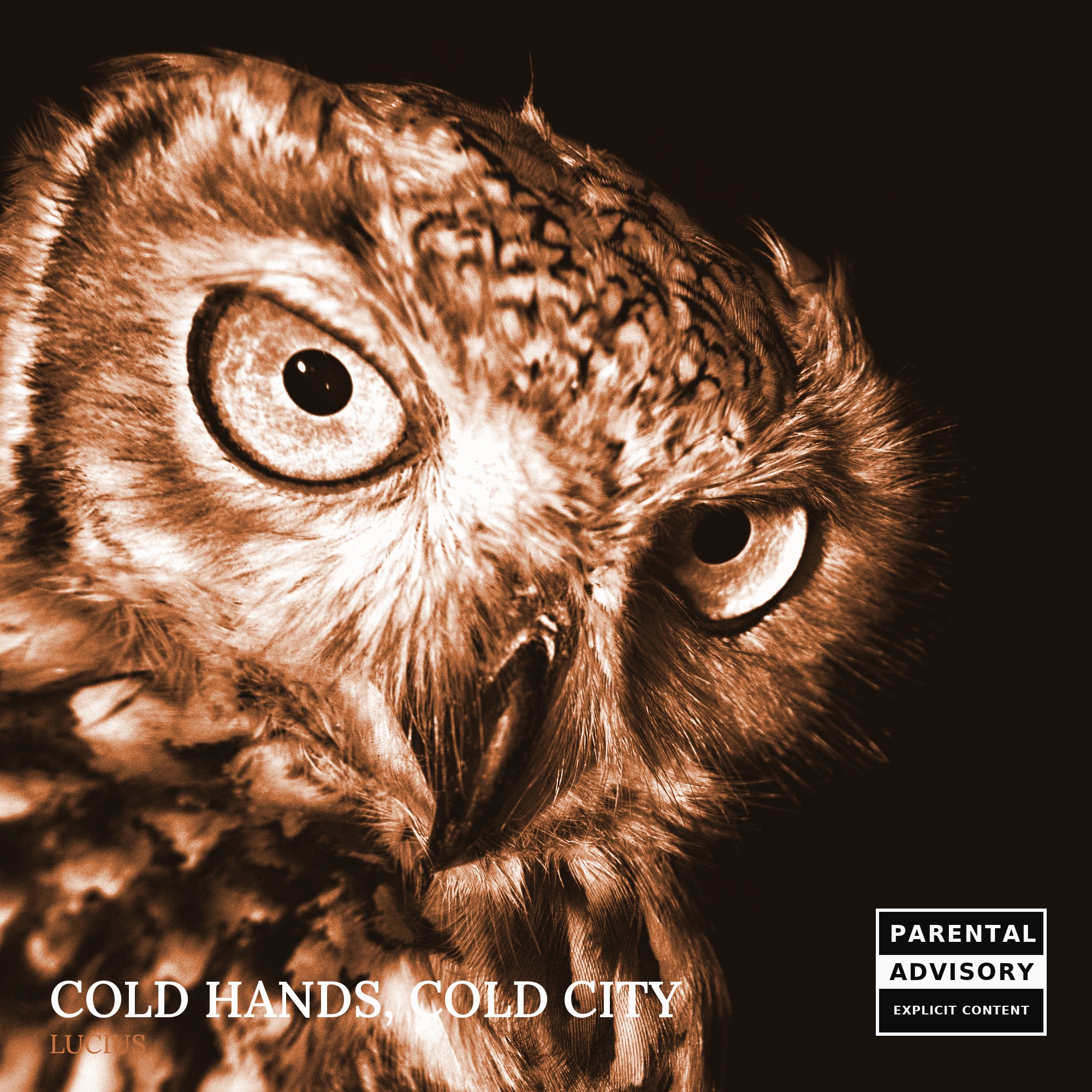 Pochette de Cold Hands, Cold City